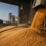 Impactul Majorării TVA-ului asupra Sectorului Agricol din Republica Moldova: O Analiză Detaliată